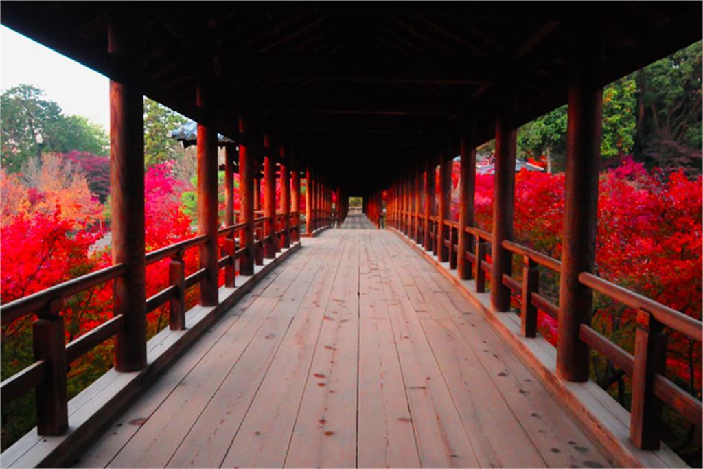Aotake-an * Kyōto